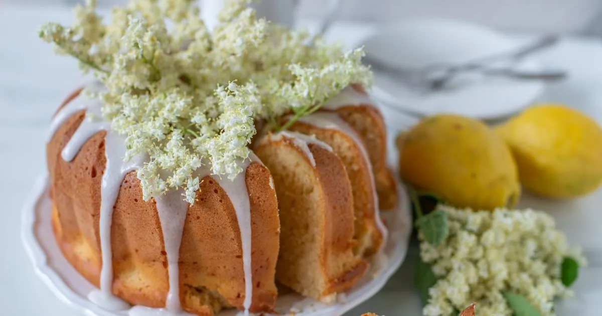 Torten Rezepte Einfach Und Schnell